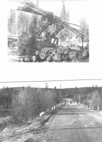 1970 г. лесозаготовки