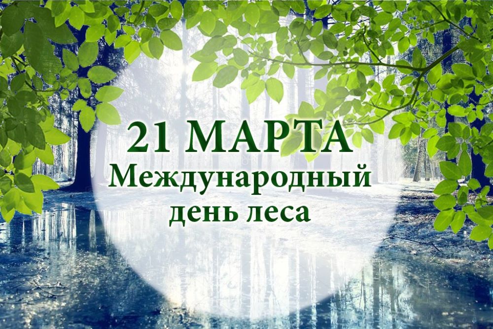 Ежегодно 21 марта отмечается Международный день лесов