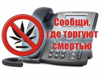 В Мурманской области проходит 2-й этап Общероссийской антинаркотической акции «Сообщи, где торгуют смертью!»